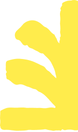 Yeswelab 28